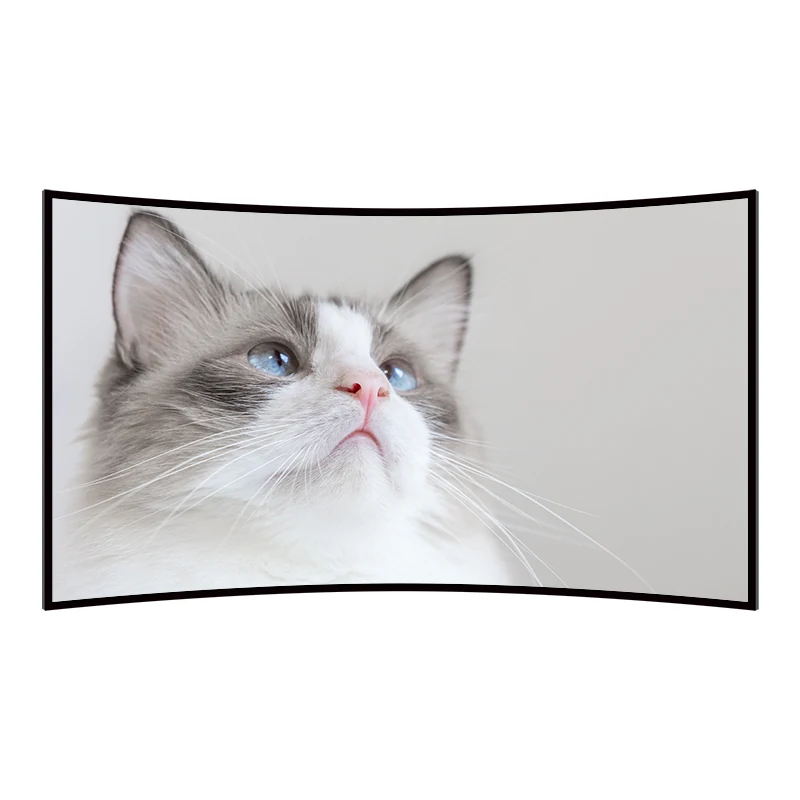 Large Curved Fixed Frame Projection Screen front view with cat image
