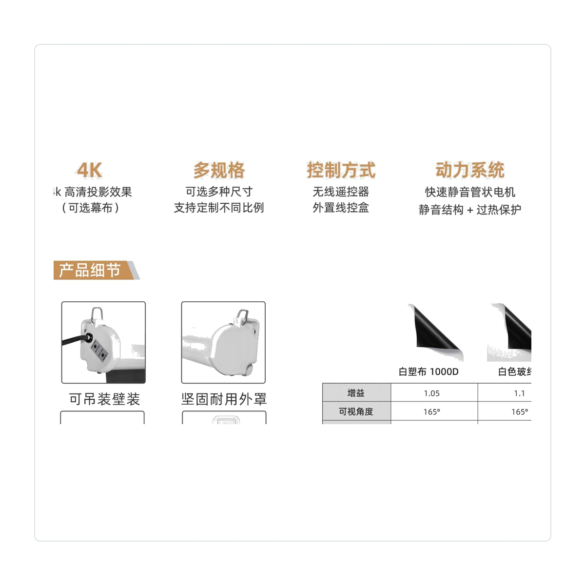 Standard Electric Projection Screen details